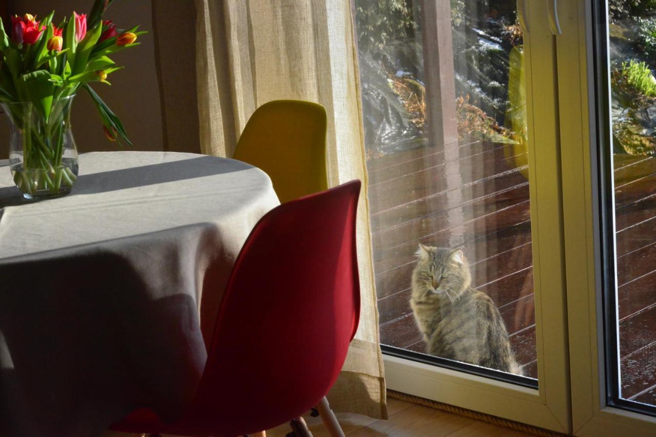 Chatka Bukowianka W Bukowcu Kolo Karpacza Bukowiec  Esterno foto