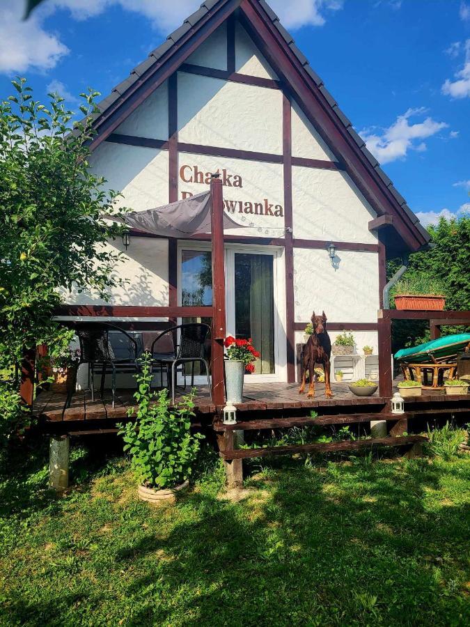 Chatka Bukowianka W Bukowcu Kolo Karpacza Bukowiec  Esterno foto